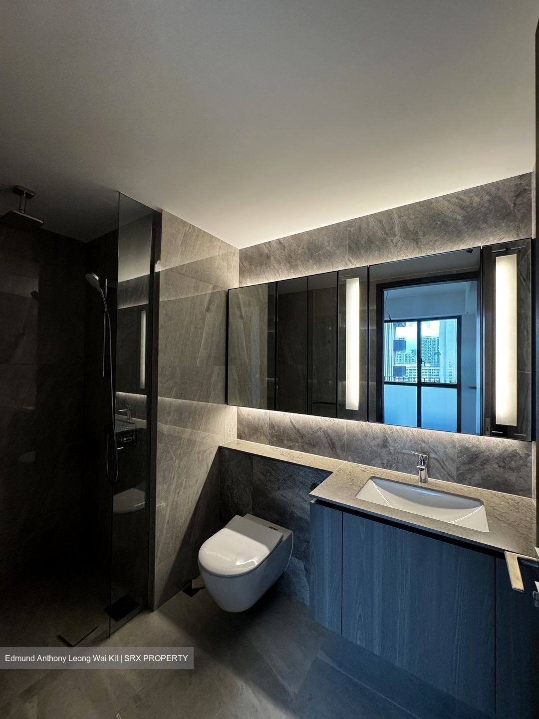 Piccadilly Grand (D8), Apartment #503286241